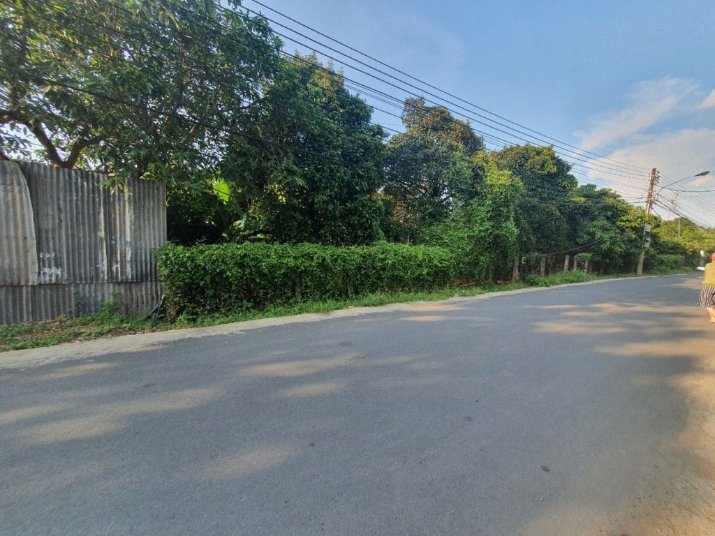 Hình ảnh thực tế