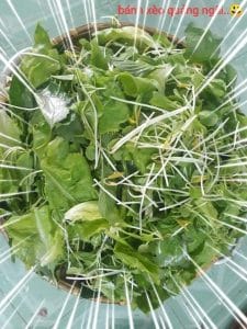 bánh xèo miền trung