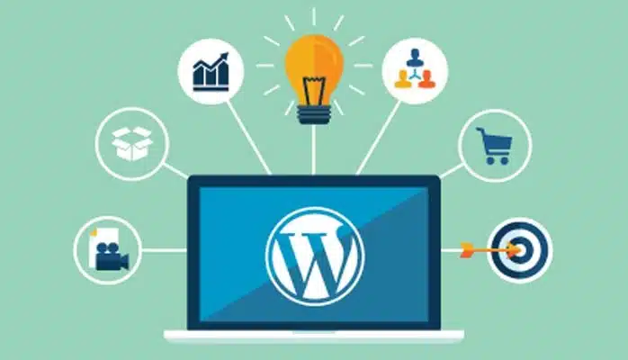 huong-dan-thiet-ke-website-chuyen-nghiep-bang-wordress-1-min