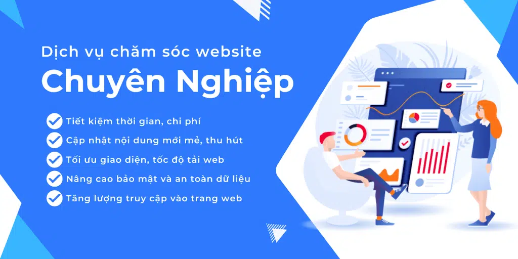 dich vu cham soc website chuyên nghiệp
